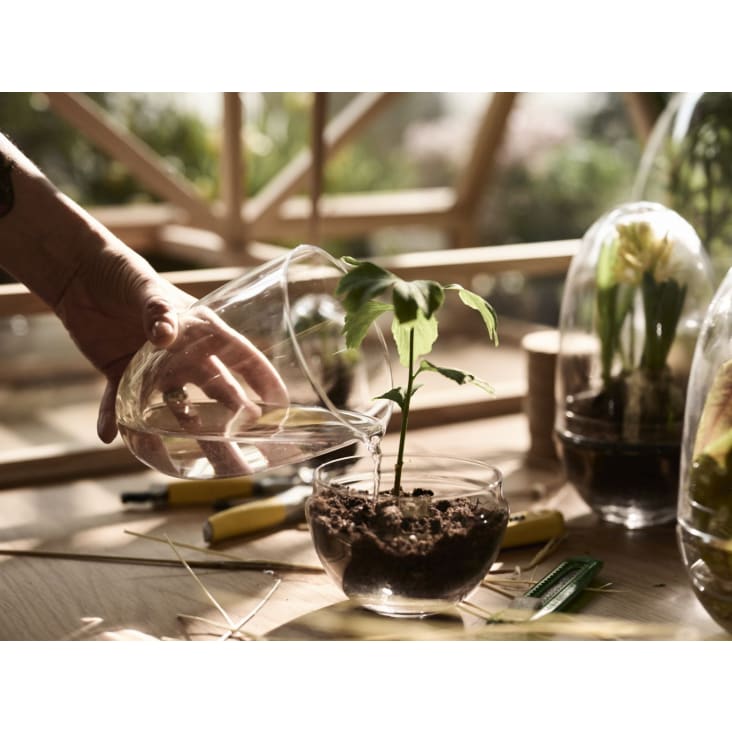 Mini-serre Grow Verre fait à la main transparent XL GROW
