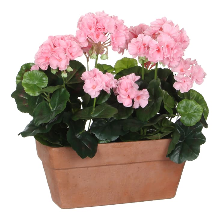 Künstliche rosa Geranien im Balkonkasten, H40 Geranium Maisons du Monde