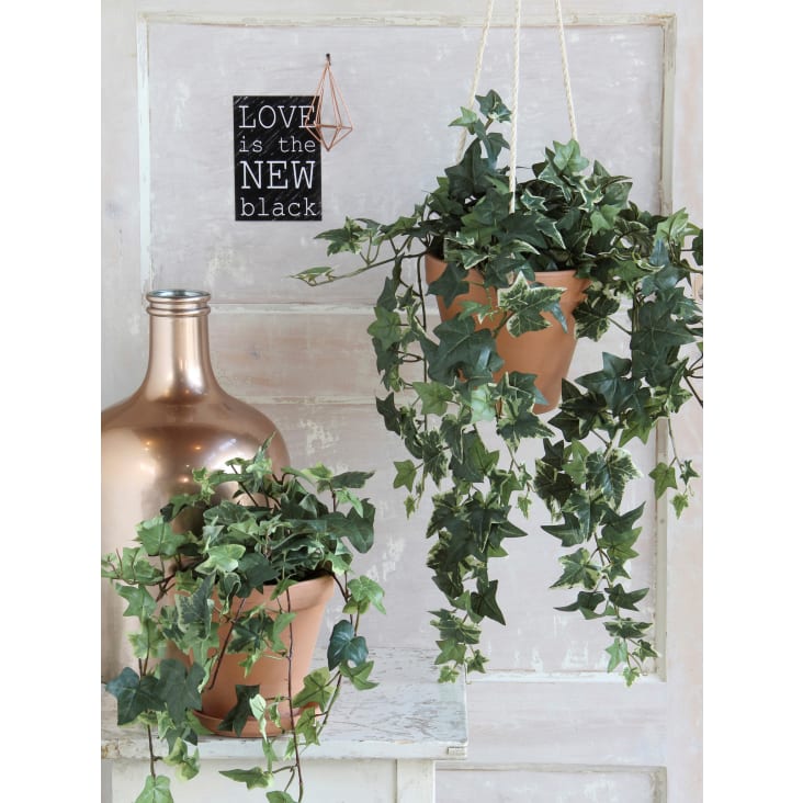 Hedera Hängepflanze Monde | Künstlicher H130 Maisons grüne du Ivy