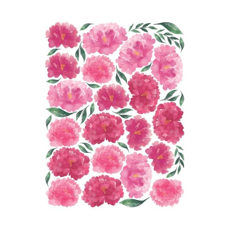 Vinilos Decorativos Mural Adhesivo Rosas Peonias Flores
