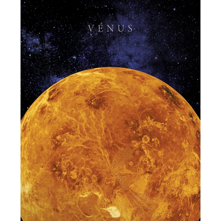 Tableau sur toile Venus 40x50
