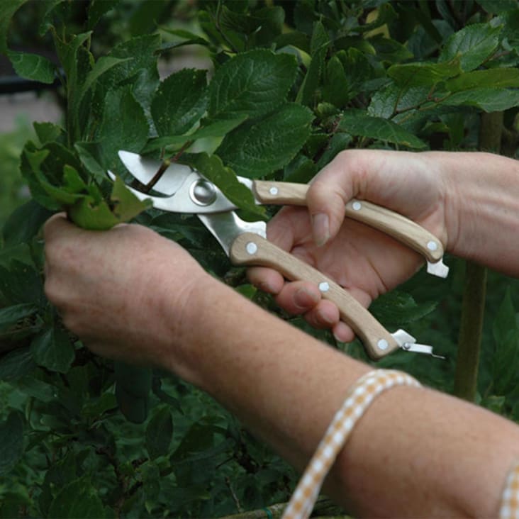 Sécateur de jardin japonais 20 cm - acier inoxydable