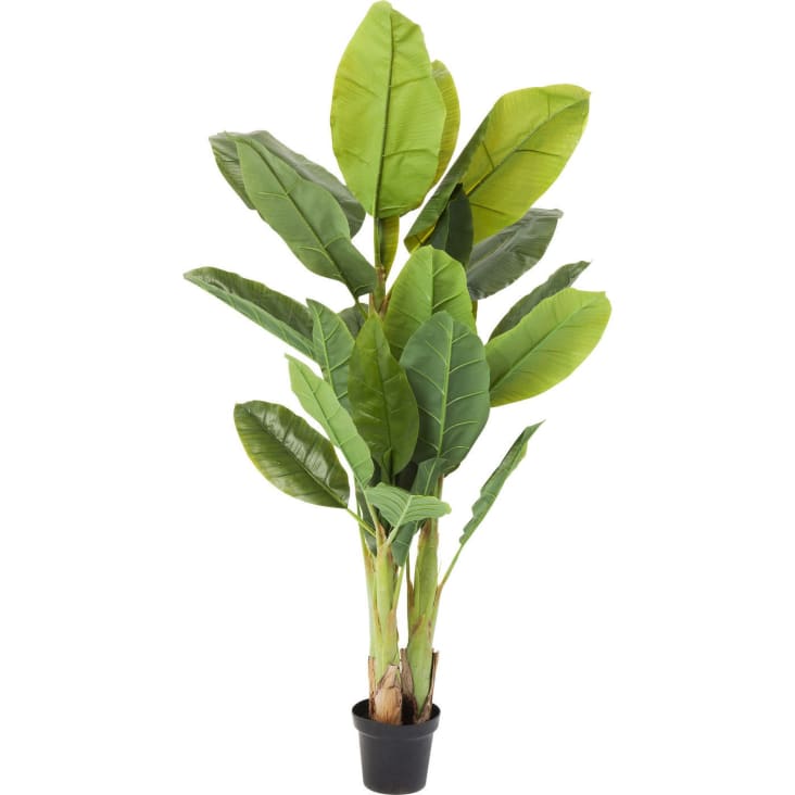 Plante artificielle bananier en polyéthylène et béton H180-Banana tree