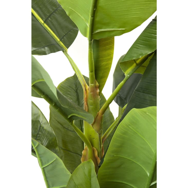 Plante artificielle bananier en polyéthylène et béton H180-Banana tree cropped-3