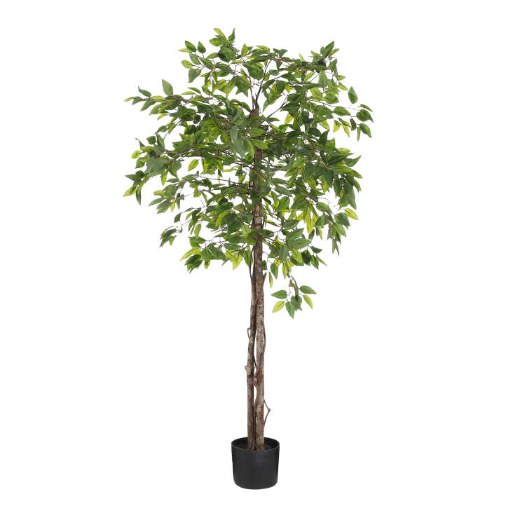 Ficus artificielle vert en pot H150-Ficus