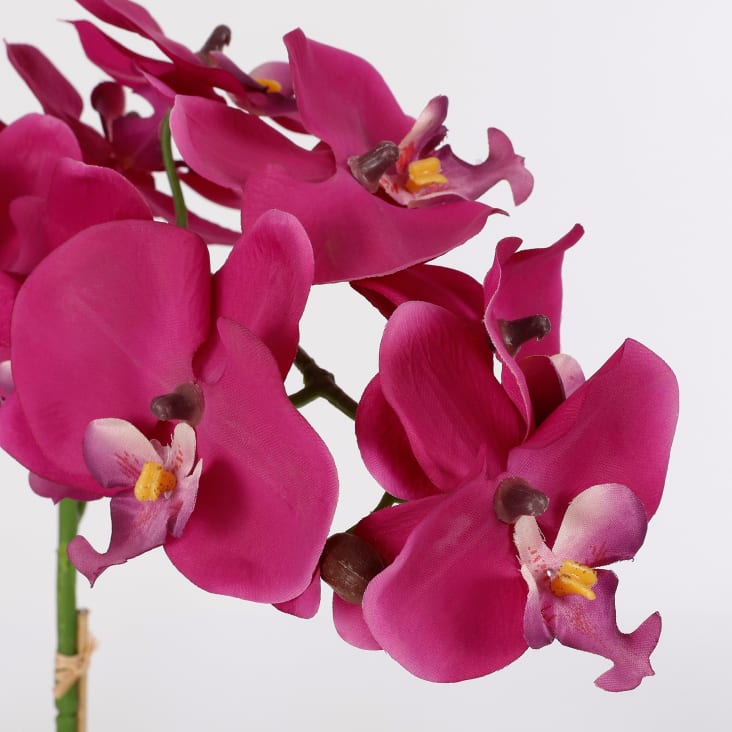 Orchidée papillon et pot en verre inclus, plantes artificielles Götessons