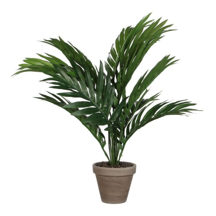 Palma areca artificiale in vaso alt.45 Areca palm