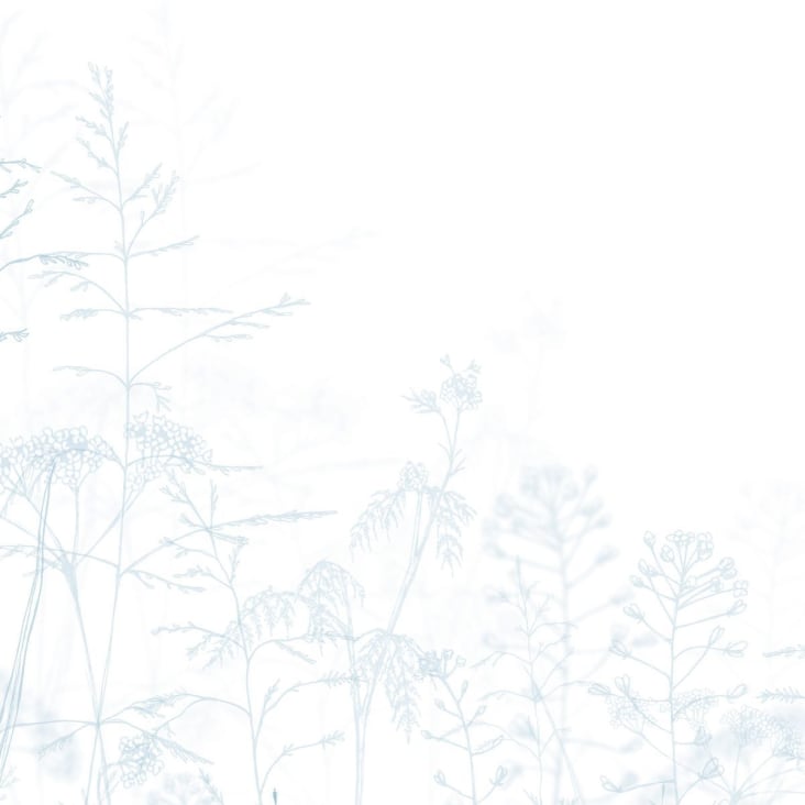 Papier peint panoramique dans les champs 170 x 250 cm bleu cropped-5