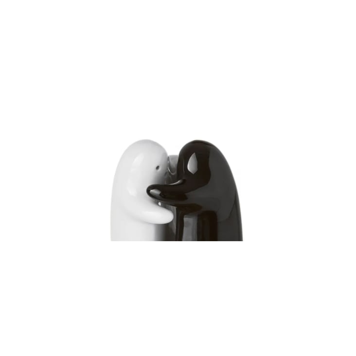 Salière et poivrière couple noir et blanc en céramique