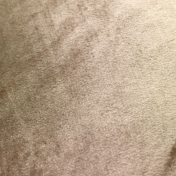 Coussin en coton 50x50 cm beige clair - HORNBACH Luxembourg