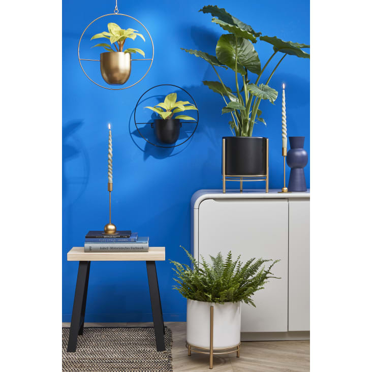 Cache-pot mural : 21 supports pour plantes d'intérieur