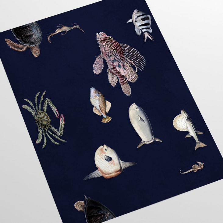 Tapete Tropische Fische Blau 250x200 cm Animali | Maisons du Monde, حجم الصورة 732x732