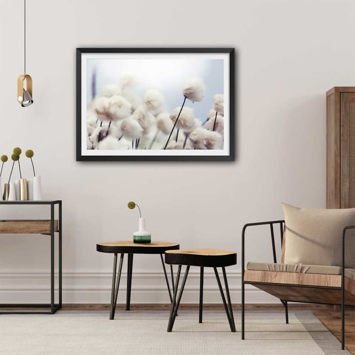 Poster fiori di cotone nel vento sin marco 90x60cm