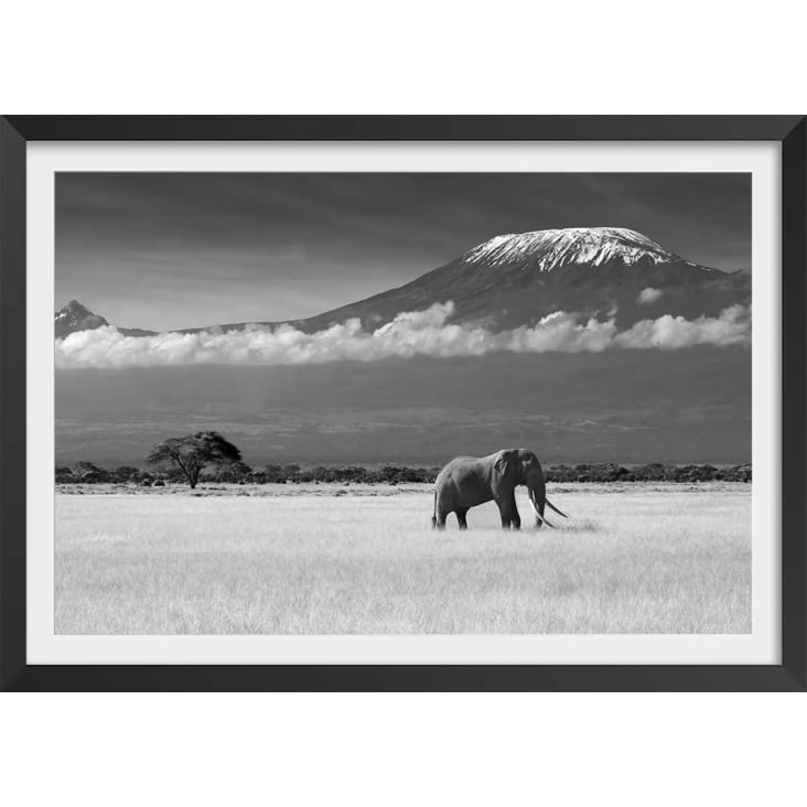 Affiche éléphant et kilimanjaro avec cadre noir 30x20cm