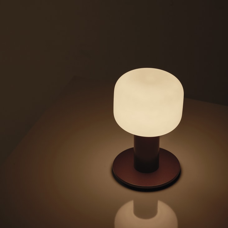 Lampada Led da tavola in metallo marrone con particolari in oro 