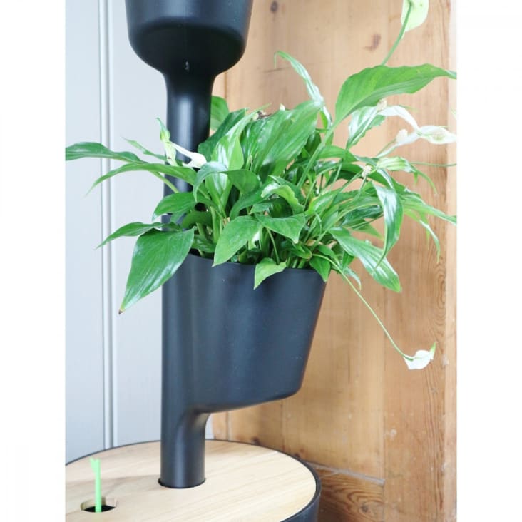 Pot de fleurs en plastique à arrosage automatique, jardinière, pots d'intérieur  et d'extérieur, maison
