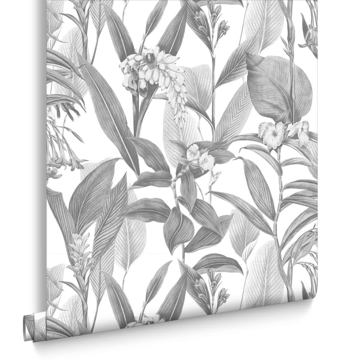 papier peint botanique gris 1005x52cm cropped-2