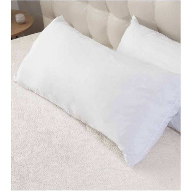 DODO Pack 2 almohadas de moda 60x60cm + 2 protectores de almohada  impermeables 60x60 cm - Relleno