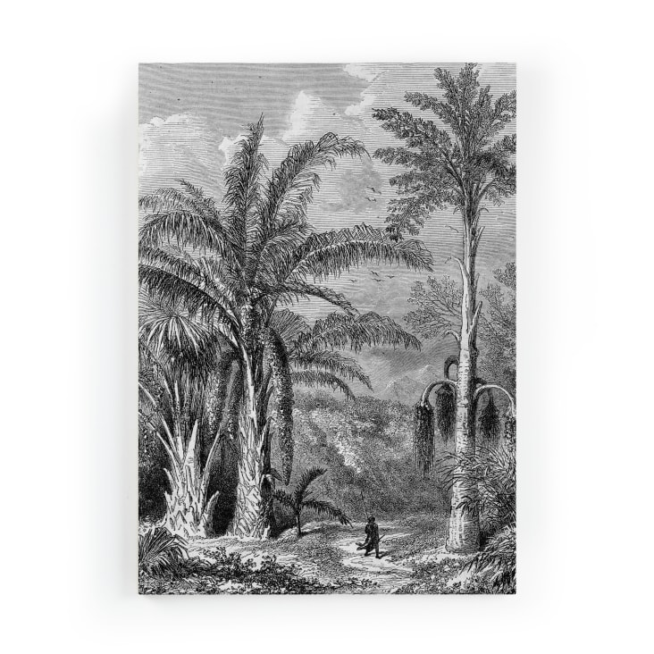 Kit per dipingere con i numeri per adulti Animali nella vasca da bagno Kit per dipingere con i numeri Arte murale Animali della giungla Tigre nella vasca da bagno Arte 198