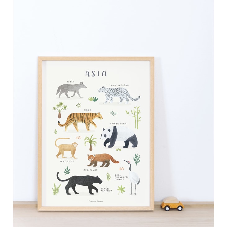 Affiche Animaux d'Asie (30 x 40 cm)-LIVING EARTH cropped-10