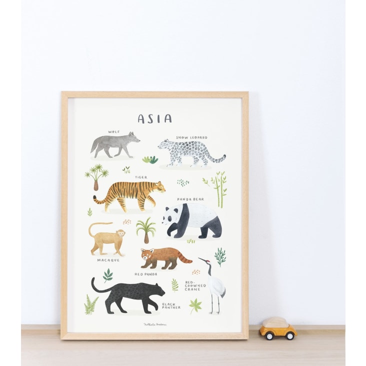 Affiche Animaux d'Asie (30 x 40 cm)-LIVING EARTH cropped-3
