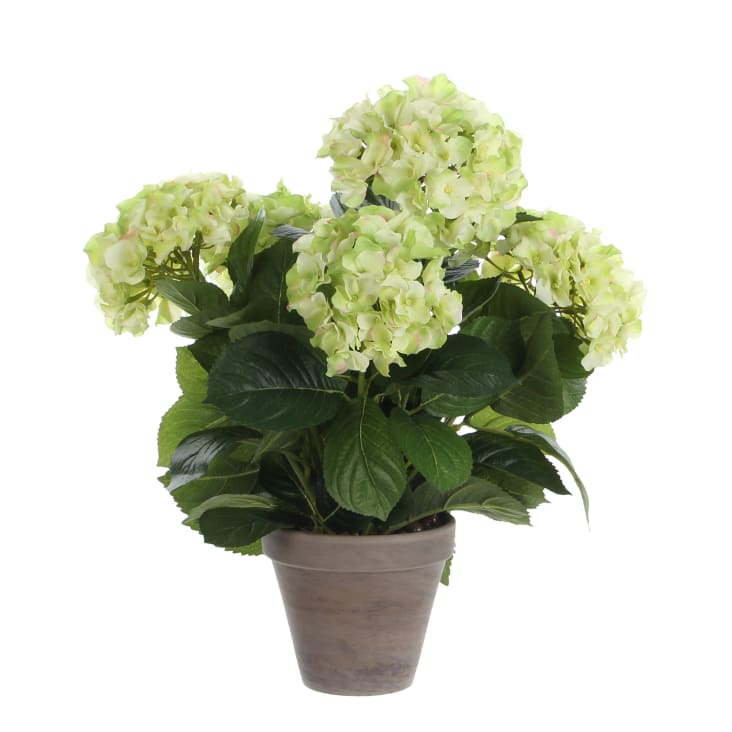 Set 4 Ortensia Artificiale Singola Altezza 57 cm Rosa