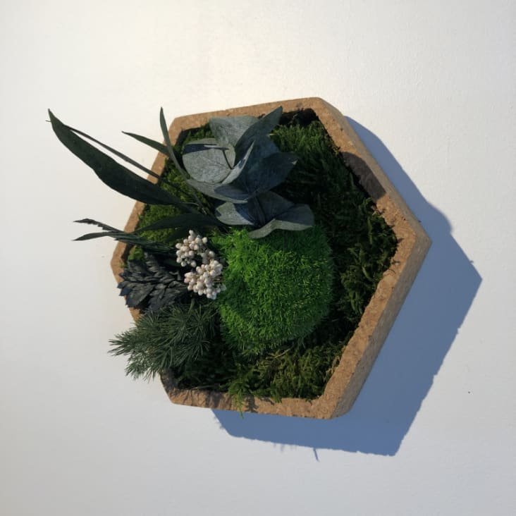 Cadre et tableau végétal stabilisé Mono 20 cm