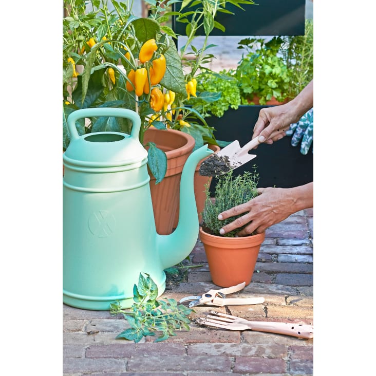 Mini outils de jardinage manuel, 3 pièces/ensemble, petite pelle, râteau,  pot de plantes, plantation de fleurs
