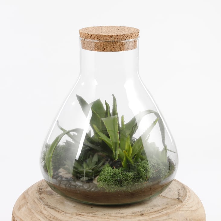 Vaso Terrarium in vetro riciclato