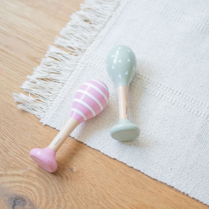 14 Différences Entre LIBELLULE Et DEMOISELLE