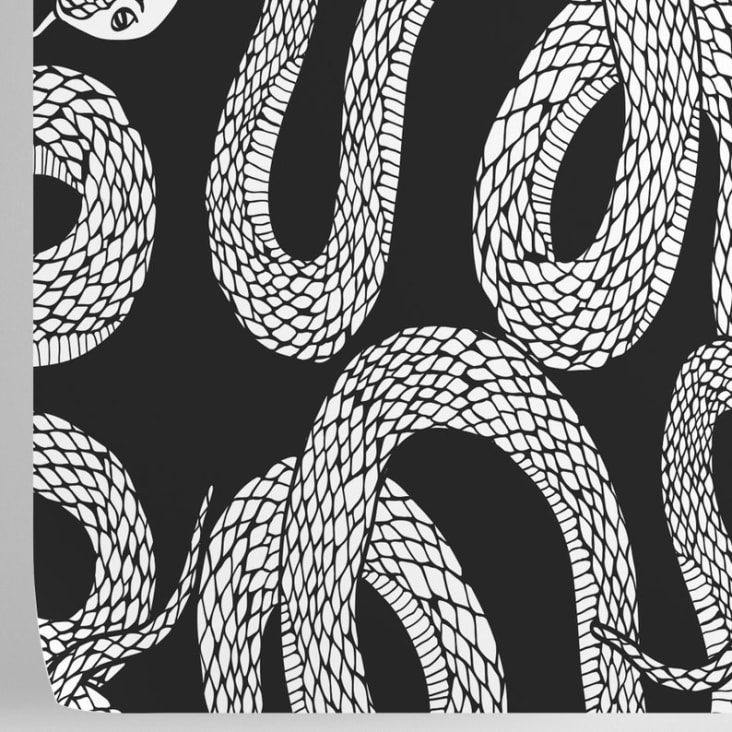 Carta da Parati Serpenti Bianca e Nera 250x200 cm ANIMALI