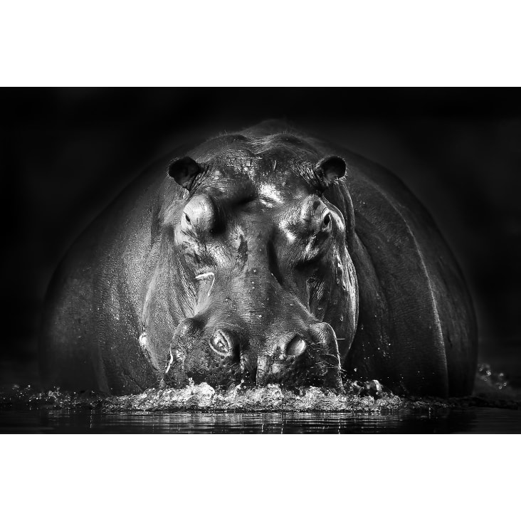 Vitrina de Madera - Salón Rústico - Hipopótamo Muebles