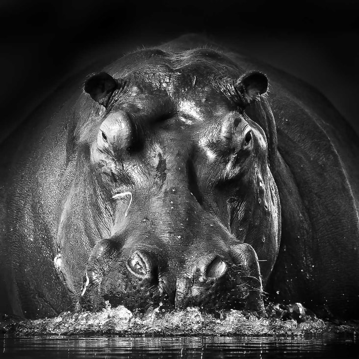 Cabecero blanco con mesitas a juego - Hipopótamo Muebles