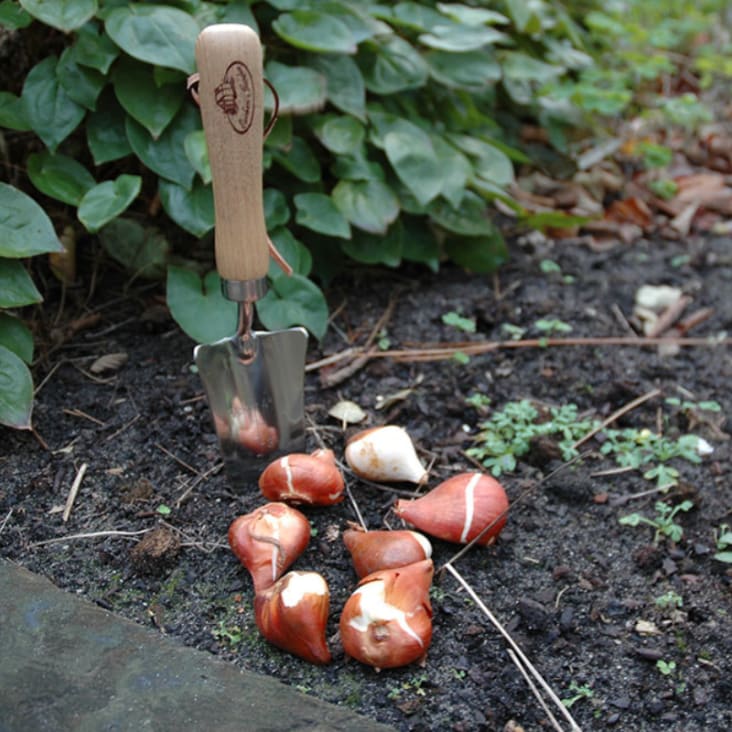 Laguiole outils de jardinage pour désherber