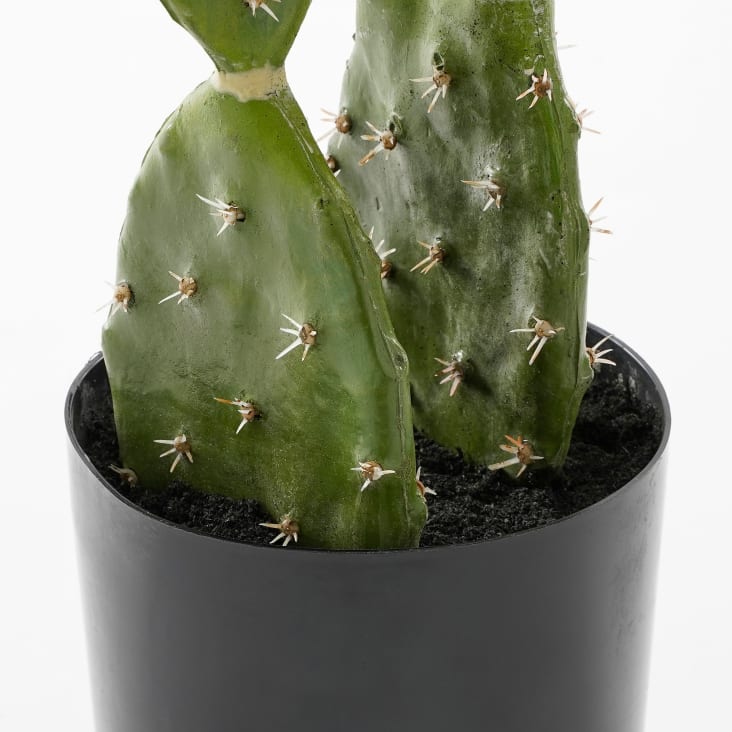 Livraison à Domicile - Poubelle Cactus pour Cuisine