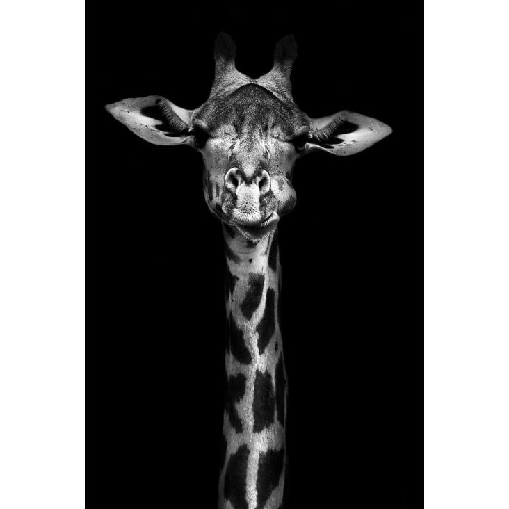 Tableau girafe haute en portrait imprimé sur toile 80x120cm