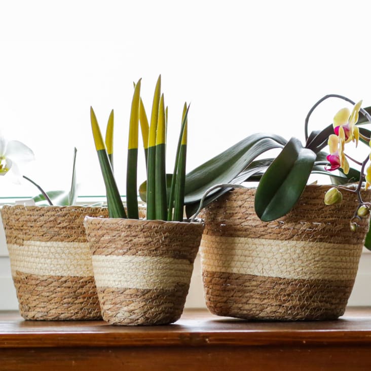 Set 3 maceteros cestas de paja para plantas con interior impermeable cropped-2