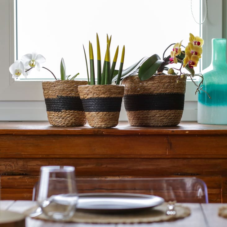 Acheter Jardinière plante verte maison bureau Pot de fleur Mini Pots carrés  plateaux décor plante en plastique