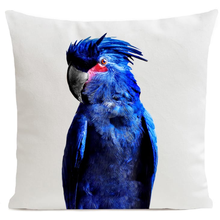 Manchon De Protection Pour Bras - En Lin, Anti-rayures Pour Perroquets Et Oiseaux, Taille 14.5 X 27 Cm