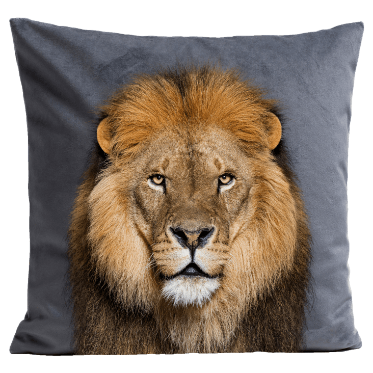 Coussin Lion Moelleux NICI – 30x30 Cm – En Peluche Recyclée – Dès Tous âges