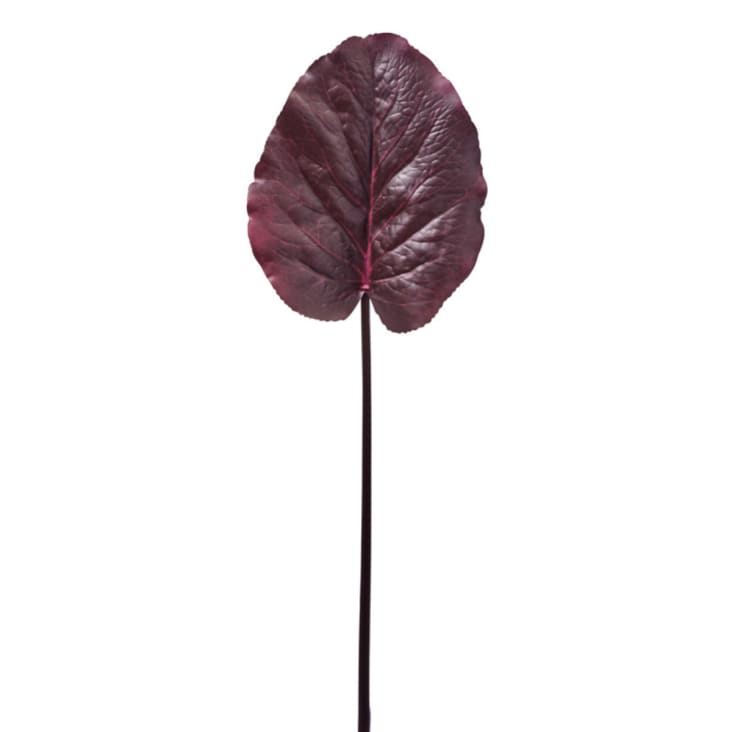Pianta Artificiale Ficus Lyrata H75 cm con Vaso Verde | Leroy Merlin