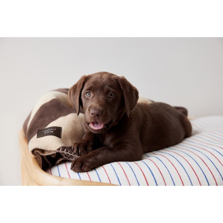Canapé pour chien en Fibres synthétiques de couleur Brun