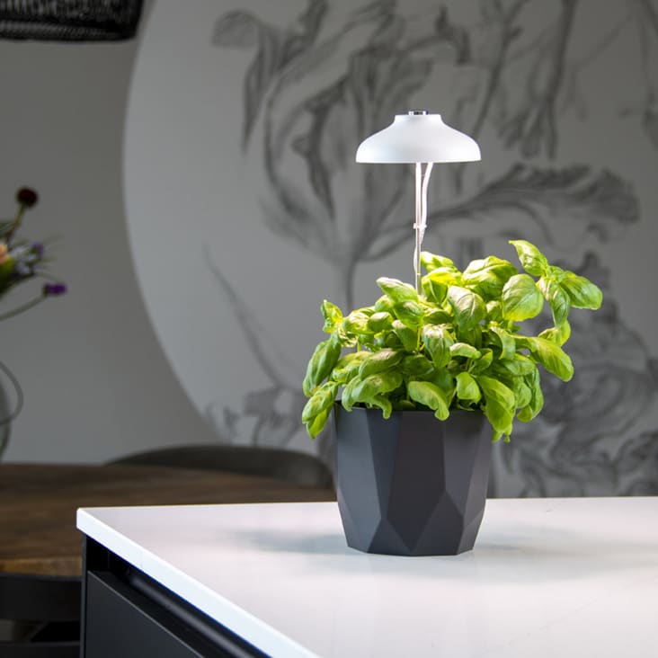Lampe de croissance pour plantes ampoule led