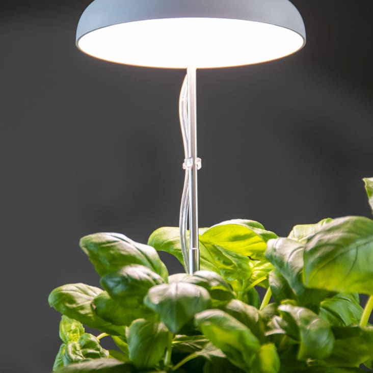 Lampe de croissance pour plantes ampoule led