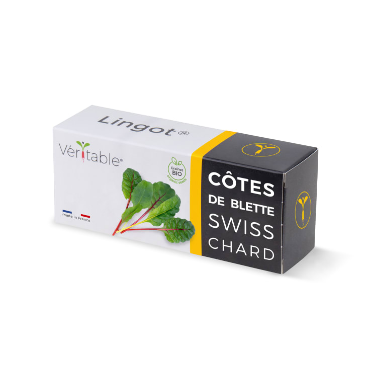 Kit De Nettoyage Pour Vinyles RevolV – Boîtier + Solution 2x16 Oz – Sans Alcool, Prête à L'emploi