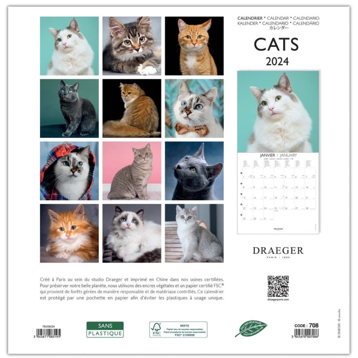 Calendrier mural pour chats 2024 avec diverses races de chats -  France