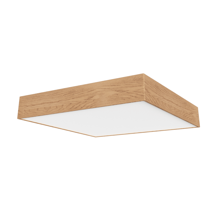 100 Cartons à Pizza Cellulose Pure 20x20 Cm – Écologiques, Rectangulaires, Certifiés FSC Pour Vente à Emporter