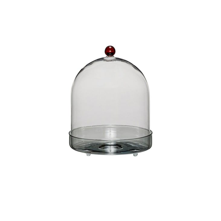Cloche Alimentaire Boîte à Gâteau Ronde BranQ Avec Insert Réfrigérant - Transport Facile Et Couvercle Sécurisé | 334x156 Mm Sans BPA Récipient Gâteau Rond Insert Réfrigérant BranQ