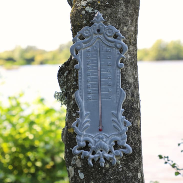 Grand Thermometre Exterieur Vintage