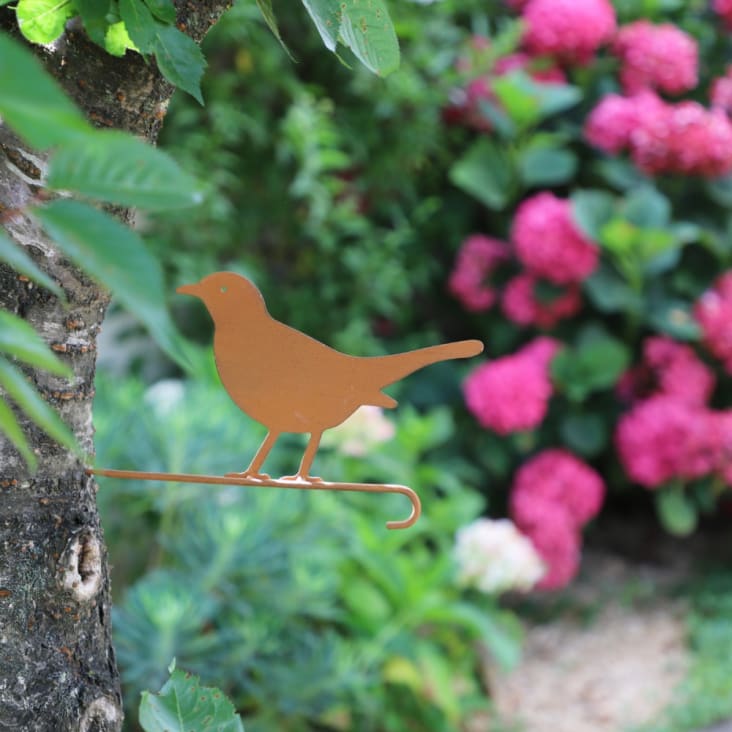 Pin's oiseau - La Cahute de Marine